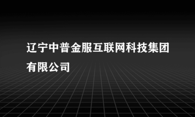遼寧中普金服 專注金融業(yè)務外包，賦能金融機構高效運營